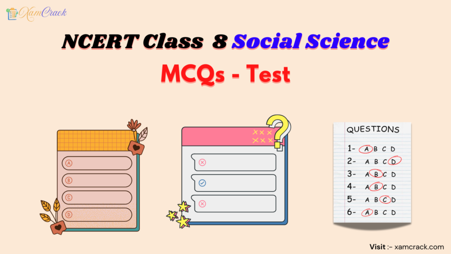 NCERT Class 8 Social Science MCQs - Test